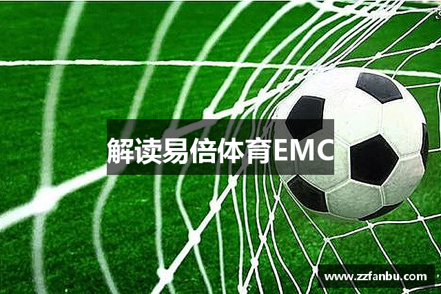 解读易倍体育EMC